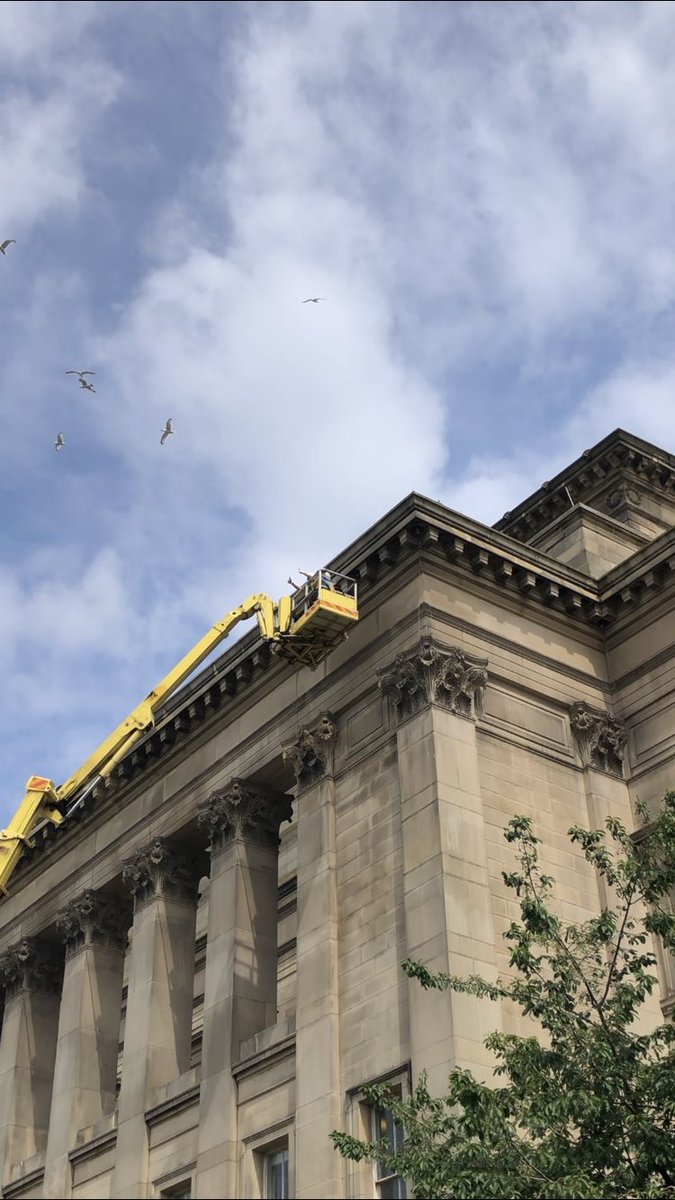 Hylift Access (@hyliftaccess) on Twitter photo HYLIFT TO THE RESCUE! A trapped seagull freed from bird netting <a href="/SGHLpool/">St George's Hall</a> to return back to his busy life <a href="/lpoolcouncil/">Liverpool City Council</a> ๐ชถ HYLIFT TO THE RESCUE! A trapped seagull freed from bird netting <a href="/SGHLpool/">St George's Hall</a> to return back to his busy life <a href="/lpoolcouncil/">Liverpool City Council</a> ๐ชถ