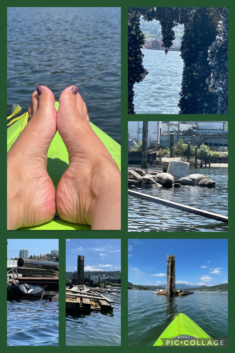 Gorgeous afternoon with the Seal families!