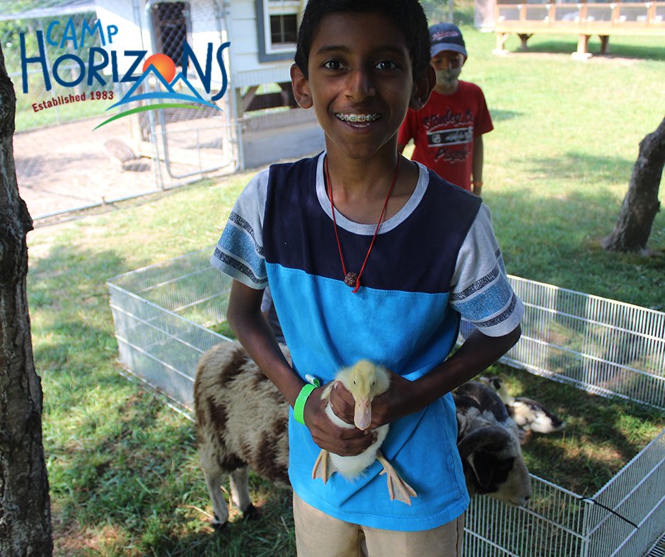 Camp Horizons tweet media