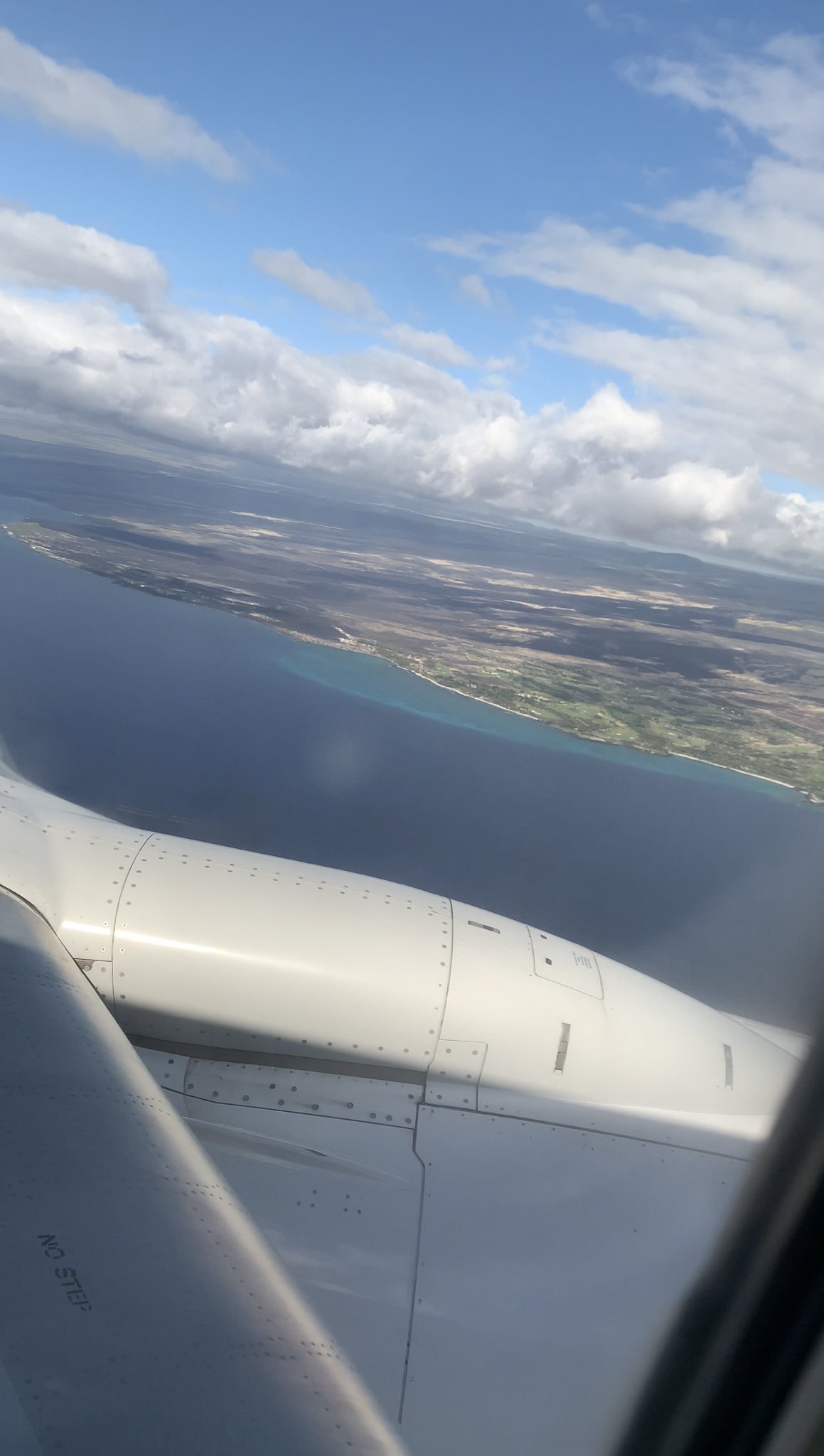 angelicat ᓚᘏᗢ on Twitter "angelicat in hawaii!!! What will she do