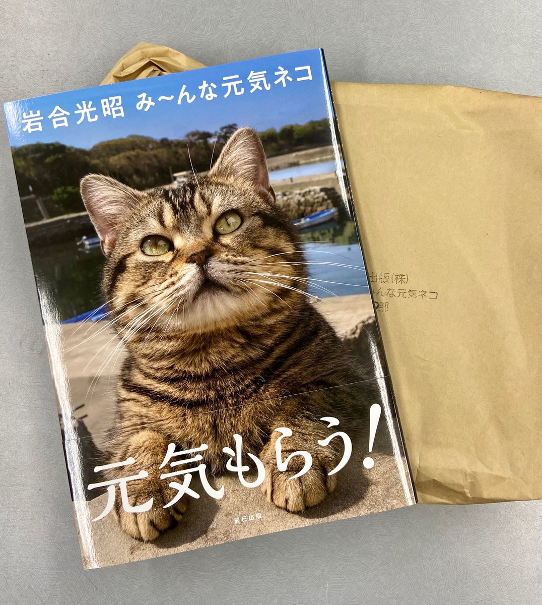 ベーコン君 Twitter Search ベーコン君 Twitter Search