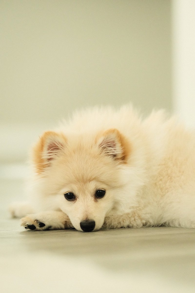 JacobBlock's tweet image. Big boy na ba🤍