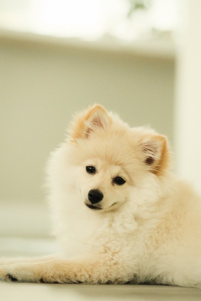 JacobBlock's tweet image. Big boy na ba🤍