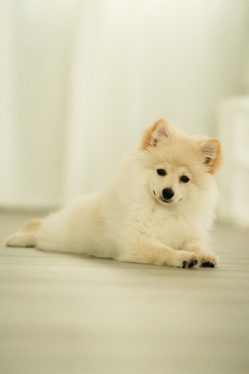 JacobBlock's tweet image. Big boy na ba🤍