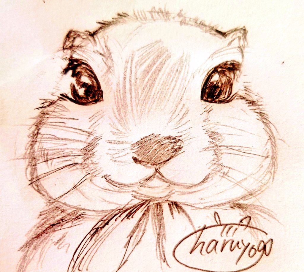 春宵 春来宵花 Haruyoi Happyshunshou02 Twitter