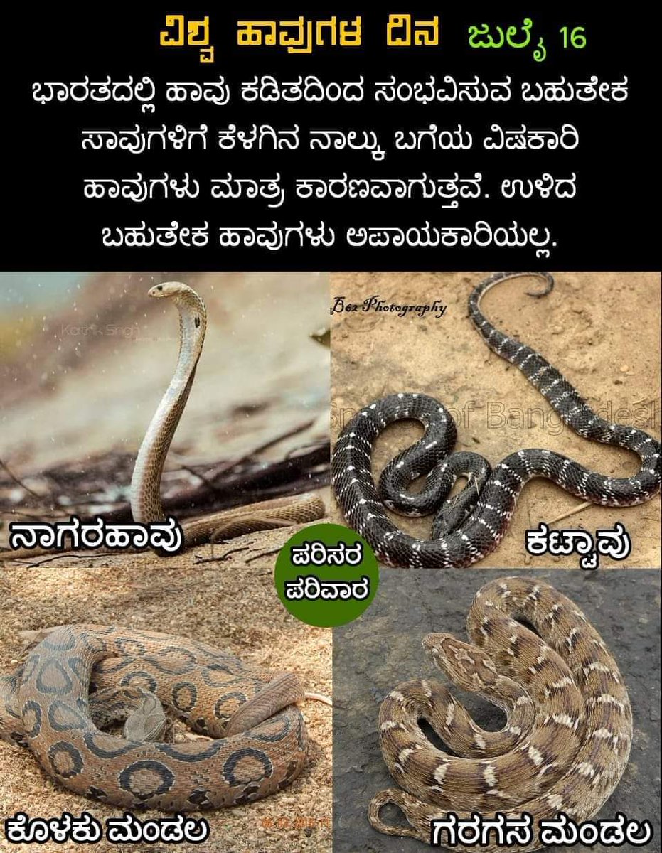Mysore forest division tweet media