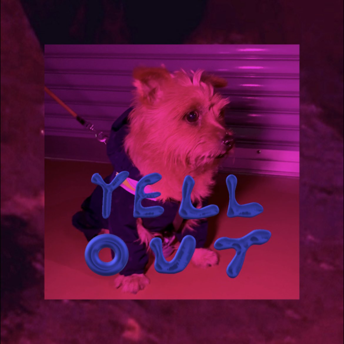 eru8496's tweet photo. YELL's First Album "YELL OUT" will be out on July 30th, 2021π¨
Pre-Save NOWβ
https://t.co/cMvVKgLm3g
#newalbum #firstalbum #YELLOUT #July30 #presave #Spotify #AppleMusic #AmazonMusic #YouTube #streaming #doglover #dog #η¬ #hiphop #rap #swag #musiclover #music #artist #singer https://t.co/G8KmGnUyUY
