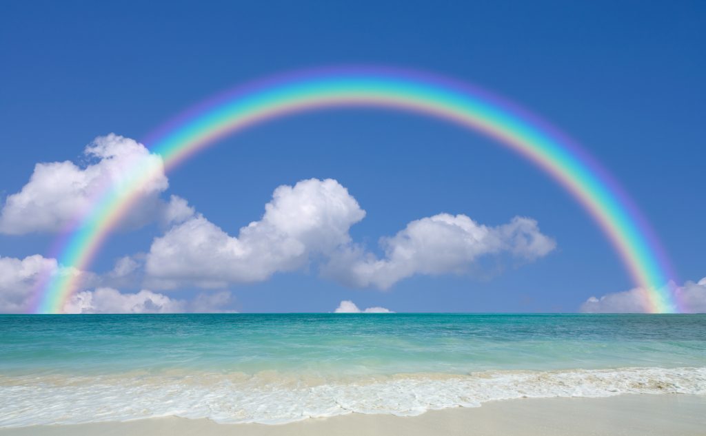 ハワイのことわざ Twitter Search Twitter