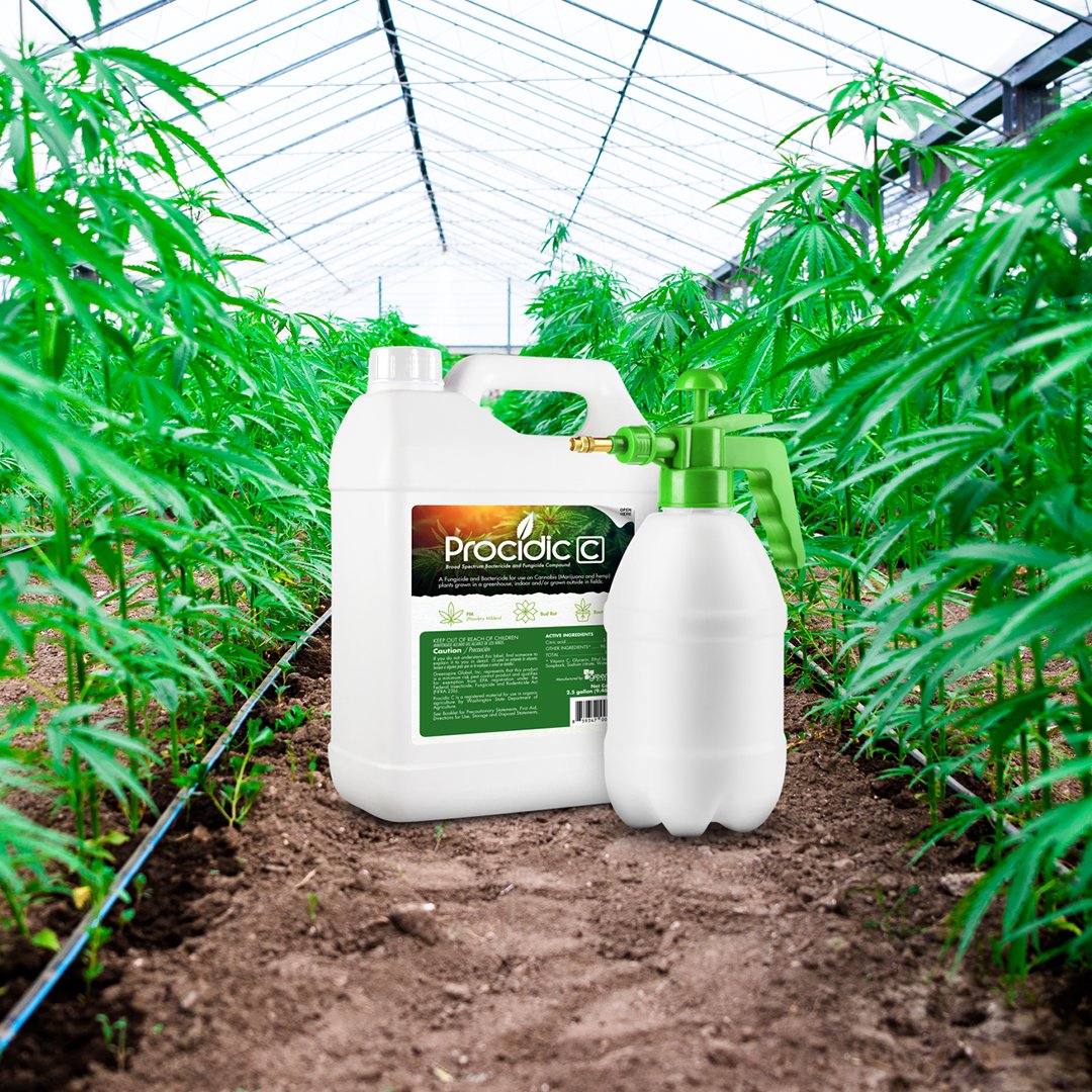 procidicc's tweet photo. This time of year can be extra humid meaning your plants might be more at risk for bud rot. Prevent &amp; control any sign of mold by using Procidic-C. » https://t.co/MpO7jsLABQ https://t.co/8allinJmM3
