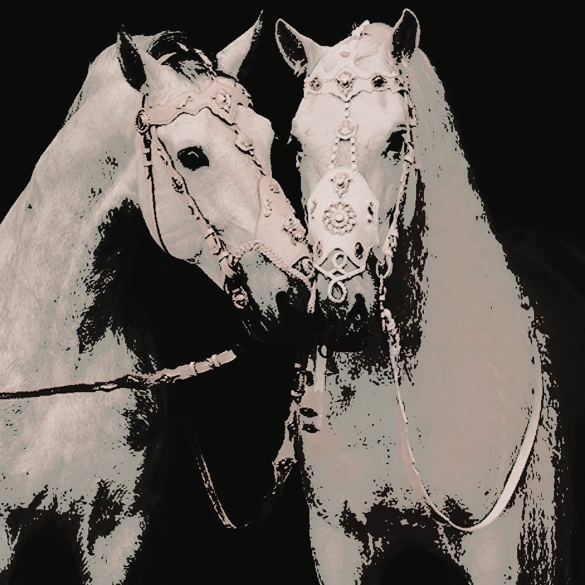 ROYALlSM's tweet image. ⠀⠀⠀⠀⠀⠀⠀⠀⠀⠀

⠀⠀⠀⠀⠀* 𝚈𝙾𝚄𝚁 𝙼𝙰𝙹𝙴𝚂𝚃𝚈, 
⠀⠀⠀⠀⠀ 𝓚ıng : Dαvıd 
⠀⠀⠀⠀⠀ Weıss. ⠀⠀⠀⠀⠀⠀⠀⠀⠀⠀
⠀⠀⠀⠀