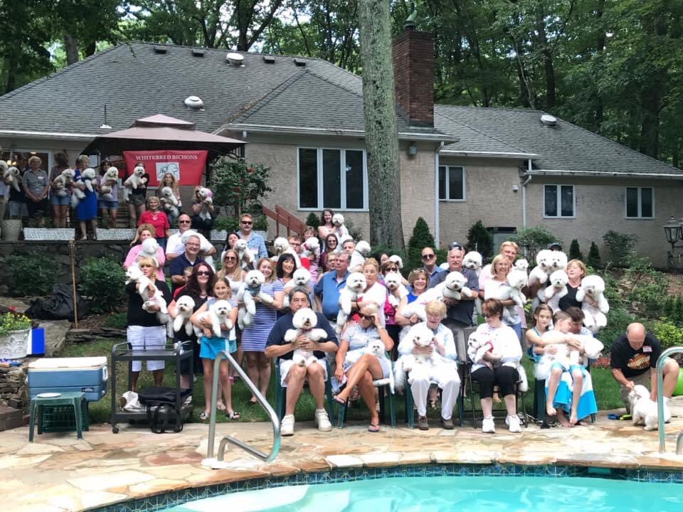 WBichon's tweet photo. For TBT, this was my family reunion a few years ago. Who can find me 😂🐶🐾 @SamVTimeless #WheresWinky https://t.co/4Aw0wNA3Js
