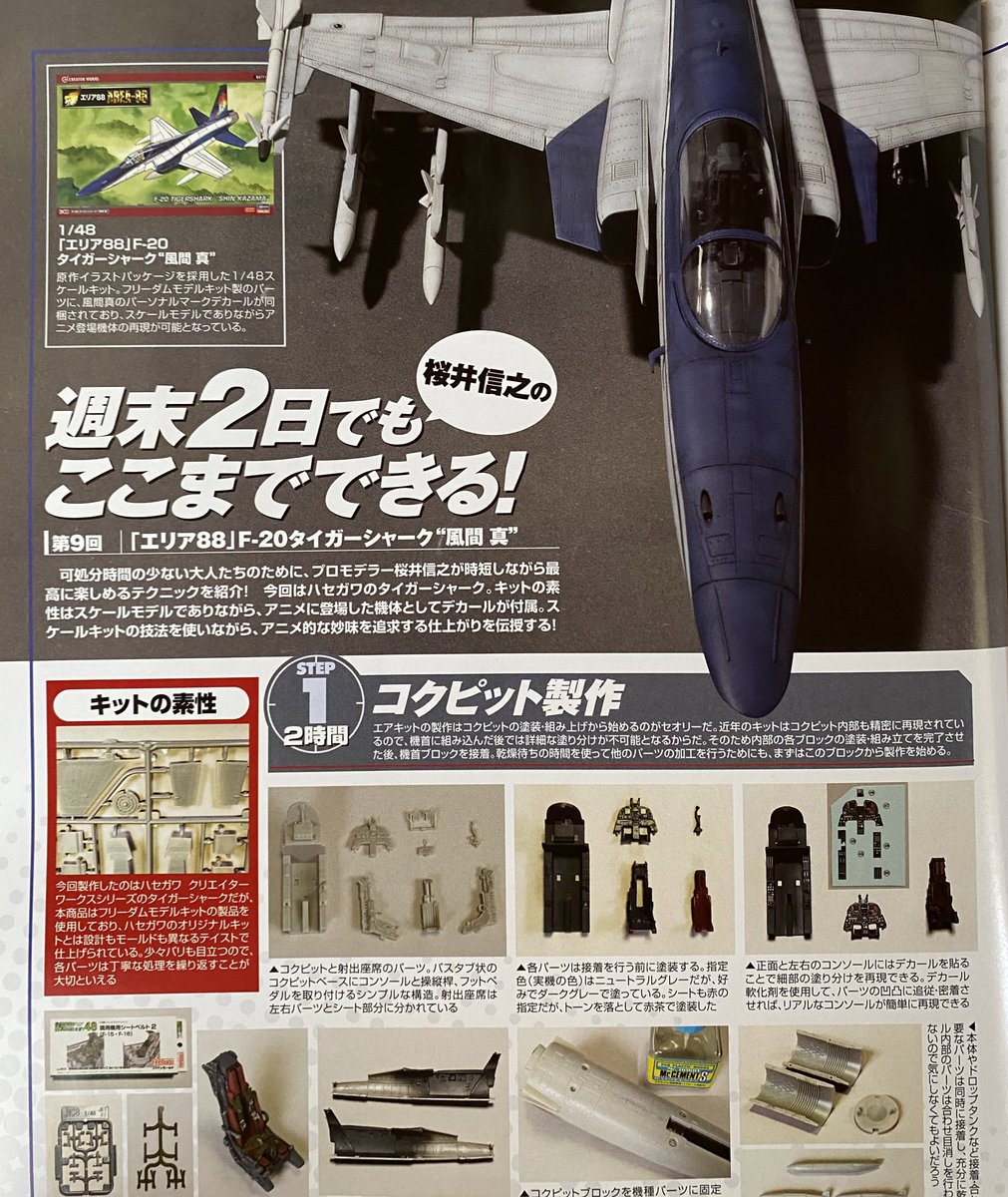1/32 ハセガワ F-5E アスラン王国 空軍 外人部隊基地エリア88