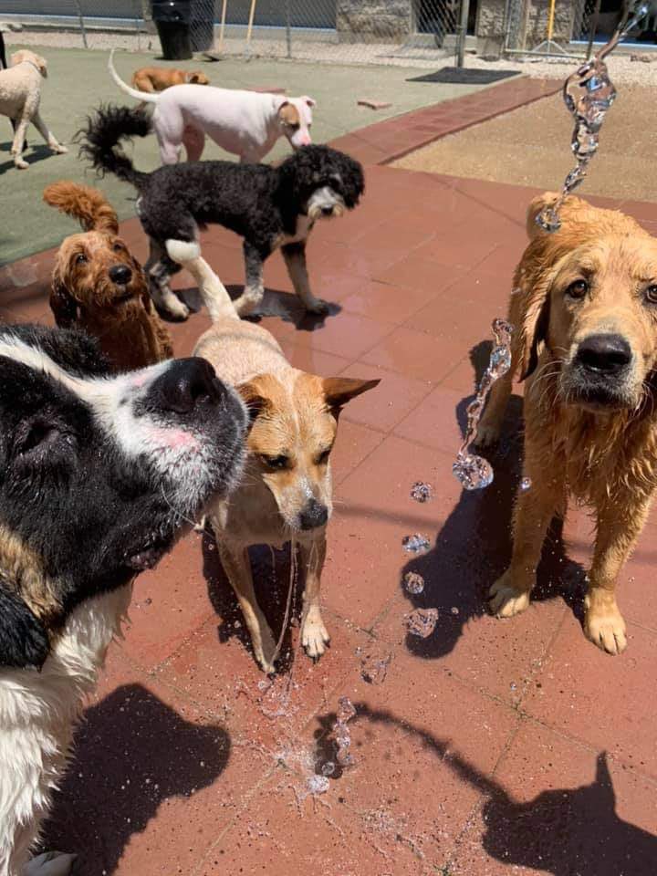 Sam Owens tweet media