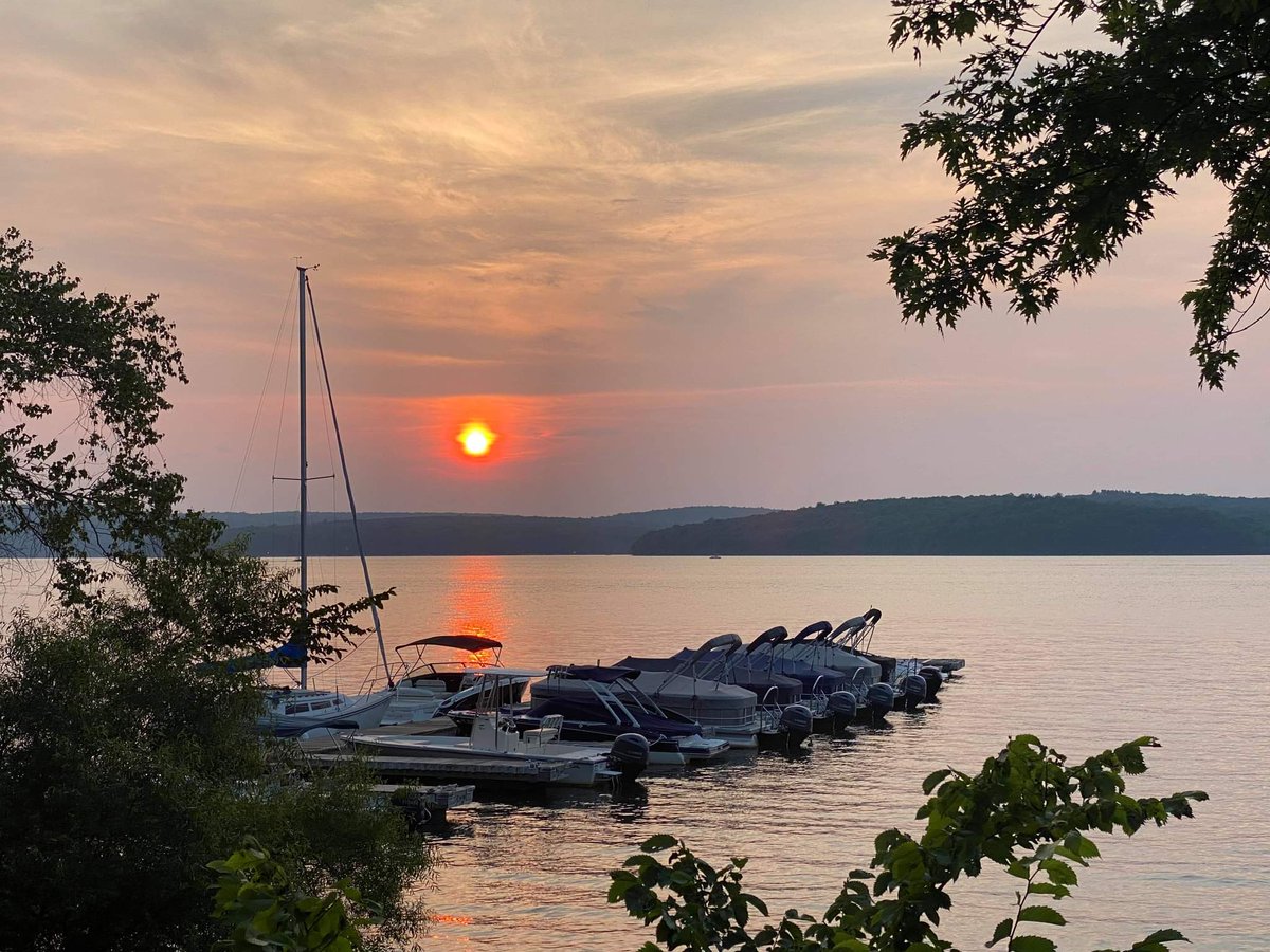 Silver Birches tweet media