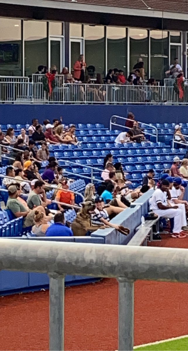 leslie0719's tweet photo. @RockersBaseball did I miss the memo that dogs could get in tonight?!? That really is Christmas in July 🎅 I will go home and get mine right now if so!! 🐾🐾⚾️⚾️ https://t.co/yCbGgbKeSp