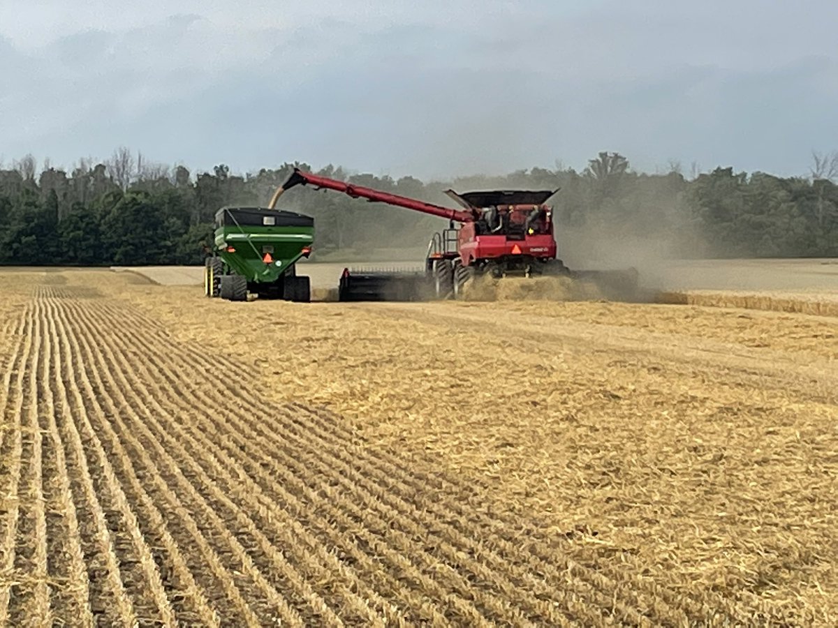 Nice start 🌾 need more ☀️ #ontag