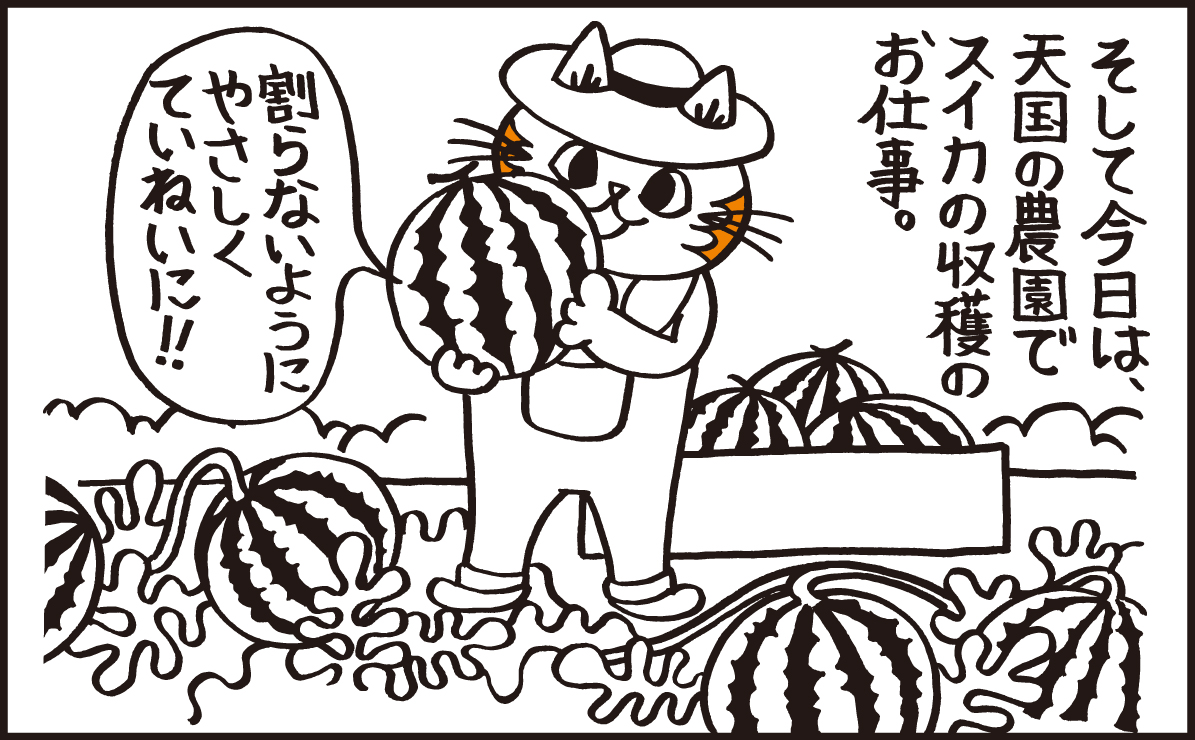 ニャン兄 Kawano Nyanni Twitter