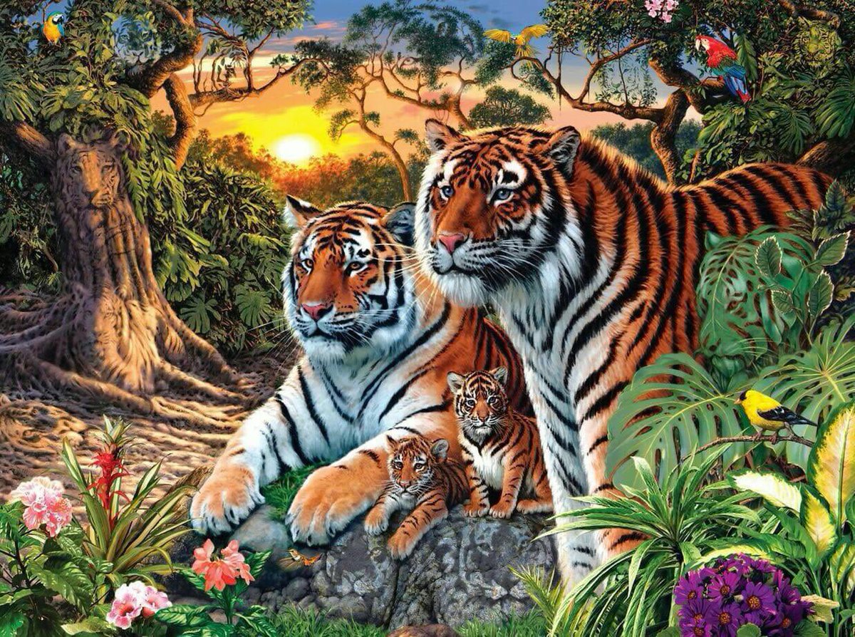 Nadia_bebita's tweet photo. cuantos Tigres ven ??? https://t.co/G5jBfjnW6e