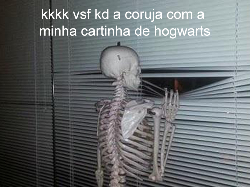 minervadiretora's tweet photo. gastaram todas as corujas com o harry potter só pode https://t.co/K0rlO6Iq4e