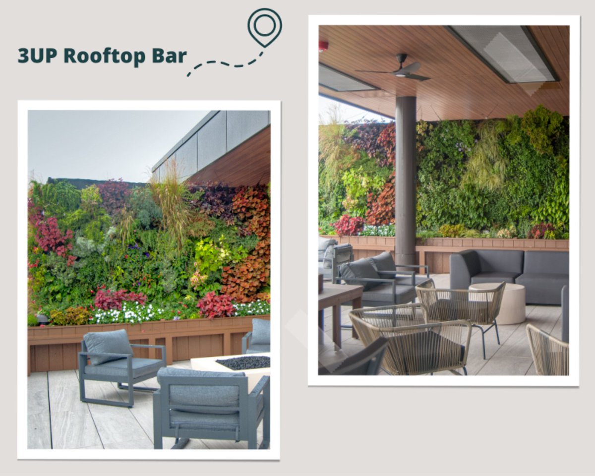 Urban Blooms (@urbanbloomsorg) on Twitter photo As summer sets, we remember back to this 30ft long freestanding living wall at <a href="/3UProoftopbar/">3UProoftopbar</a>!
Imagine having this fantastic living wall to accompany you as you sip and watch the sunset🌇
#summer #SaturdayVibes #urbanblooms #livingwall #rooftop #plantlover #outdoordining As summer sets, we remember back to this 30ft long freestanding living wall at <a href="/3UProoftopbar/">3UProoftopbar</a>!
Imagine having this fantastic living wall to accompany you as you sip and watch the sunset🌇
#summer #SaturdayVibes #urbanblooms #livingwall #rooftop #plantlover #outdoordining