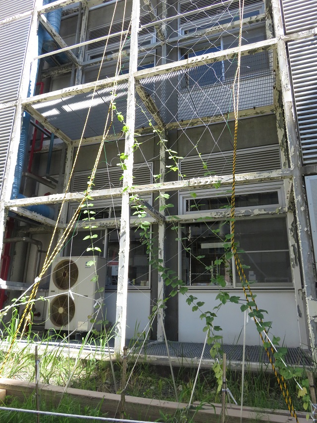 北九州市立大学 Twitter Search