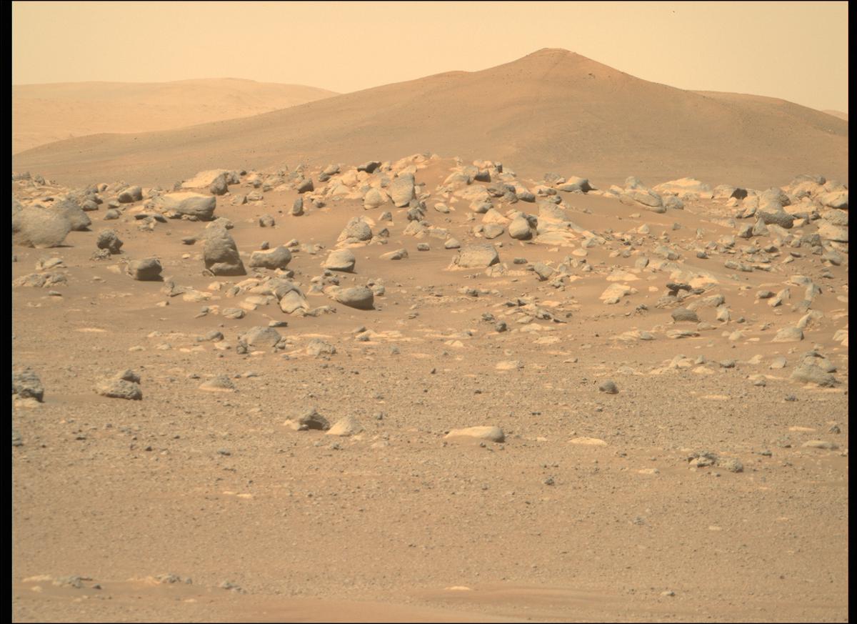 MarsMissionImgs's tweet photo. #PerseveranceRover #Mars #NASA #Sol123 #Space #MastcamZ https://t.co/kzx9lf9nyA