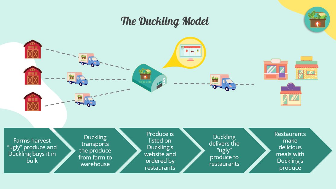sam_jayne13's tweet photo. I had such a great time working on the pitch for our startup "Duckling" with my team this past week. Duckling focuses on connecting independent restaurants with "ugly" produce from local farms. Check out our business model below! #zerofoodwastefuture #startupsummer21 https://t.co/VlztNMdA94