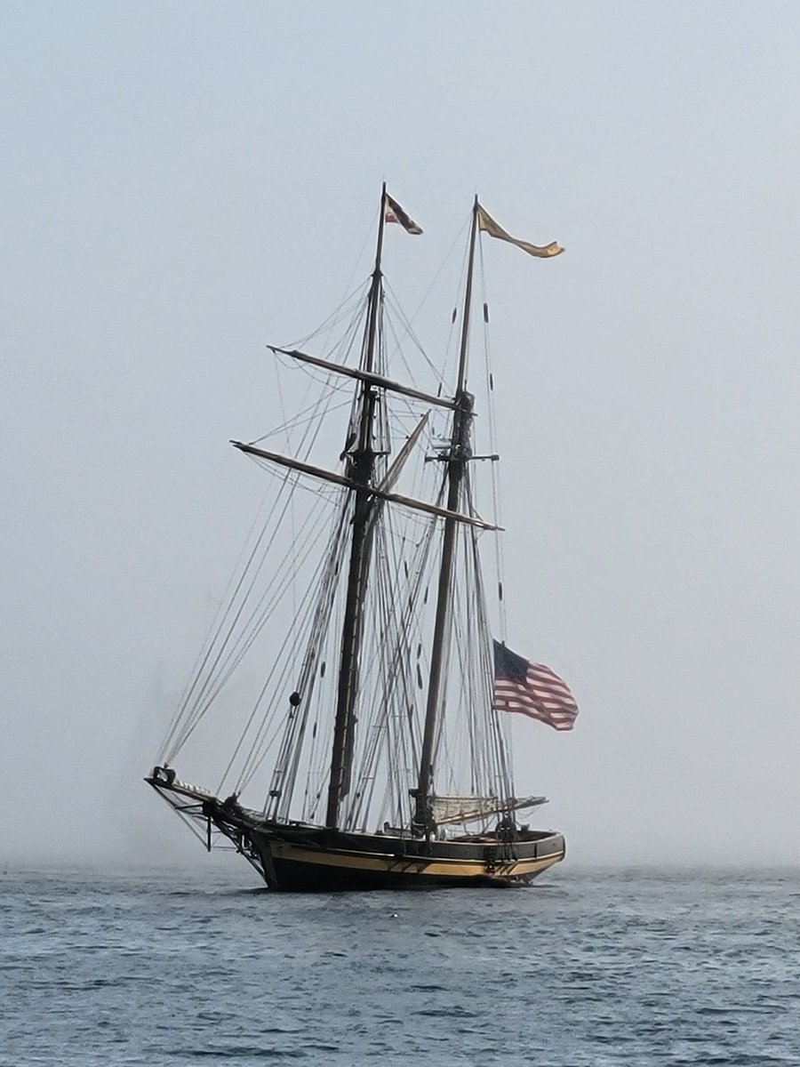 SchwEJ's tweet photo. Views around a socked in Gloucester Harbor this evening ... | #GloucesterMA #CapeAnn #NewEngland #GloucesterHarbor #Harbor #Water #Sky #Fog #SockedIn #Boat #Boats #USA #Flag #Schooner #SchoonerArdelle #StickBoat #HarpoonBoat #Statue #GloucesterFishermenMemorial #NoFilter https://t.co/R9mLDCxgd7