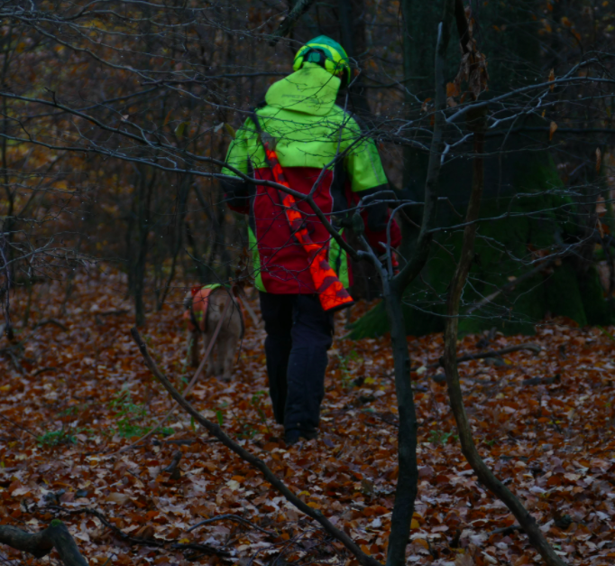 Off the beaten path with the MAUSER M12 TRAIL.

#mauserusa #mauser #mauserrifle #mauserm12 #mauserm12trail #hunting #hunters #huntingteam #huntingdog #gundog #huntingbuddies