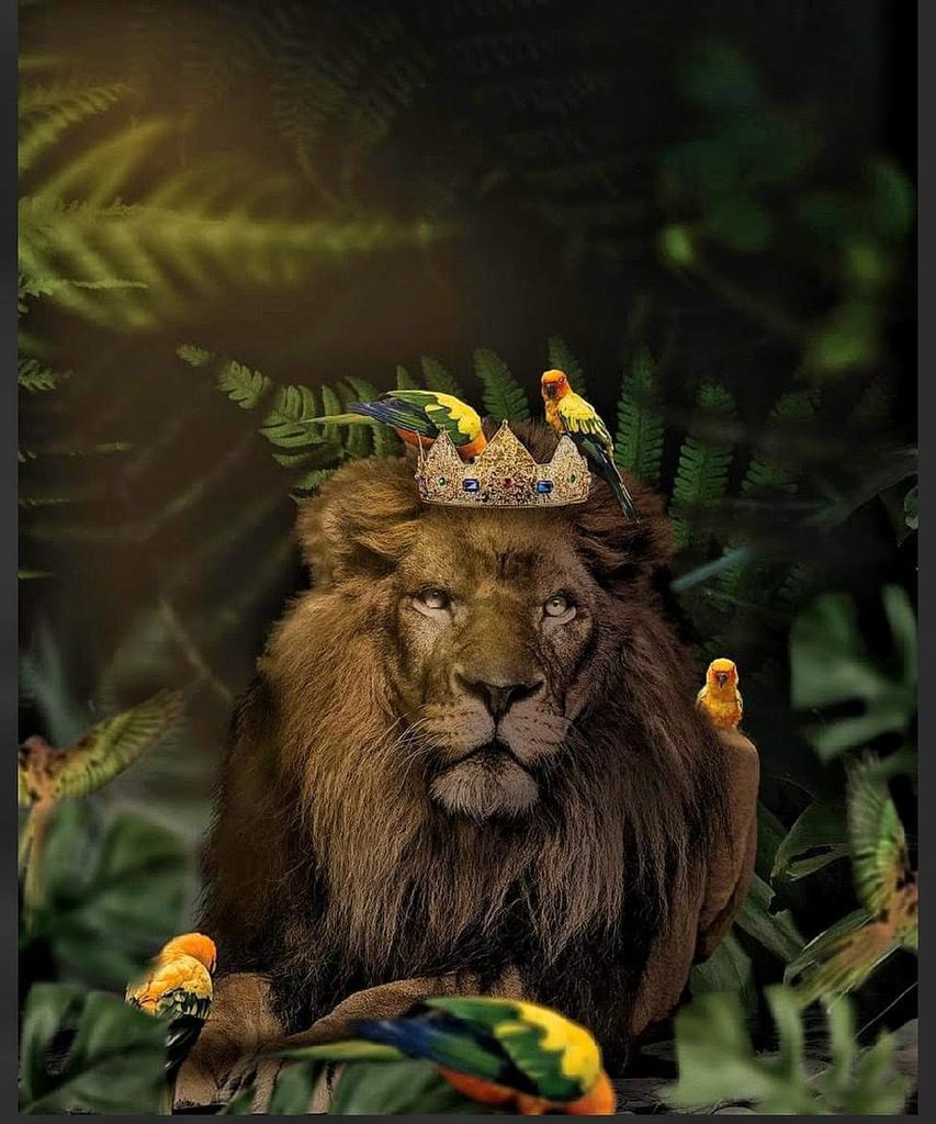 ولن تكتمل قوتك إن لم تُزينها باللطف ❤