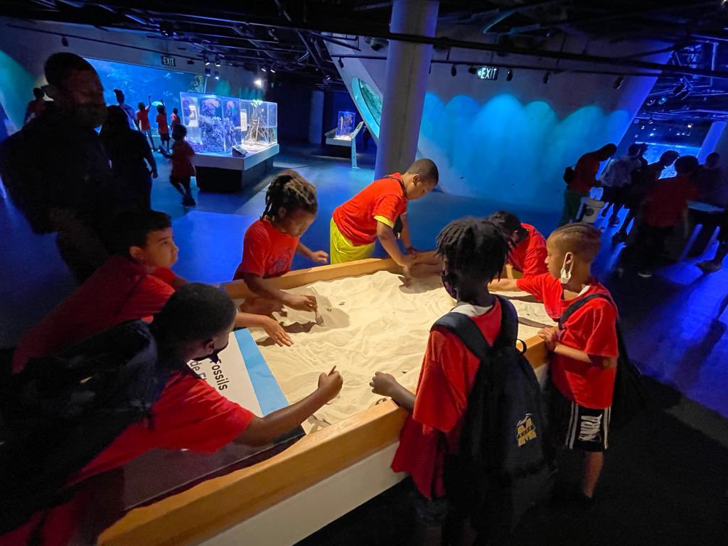 Miami Pal Mpd Pal Twitter