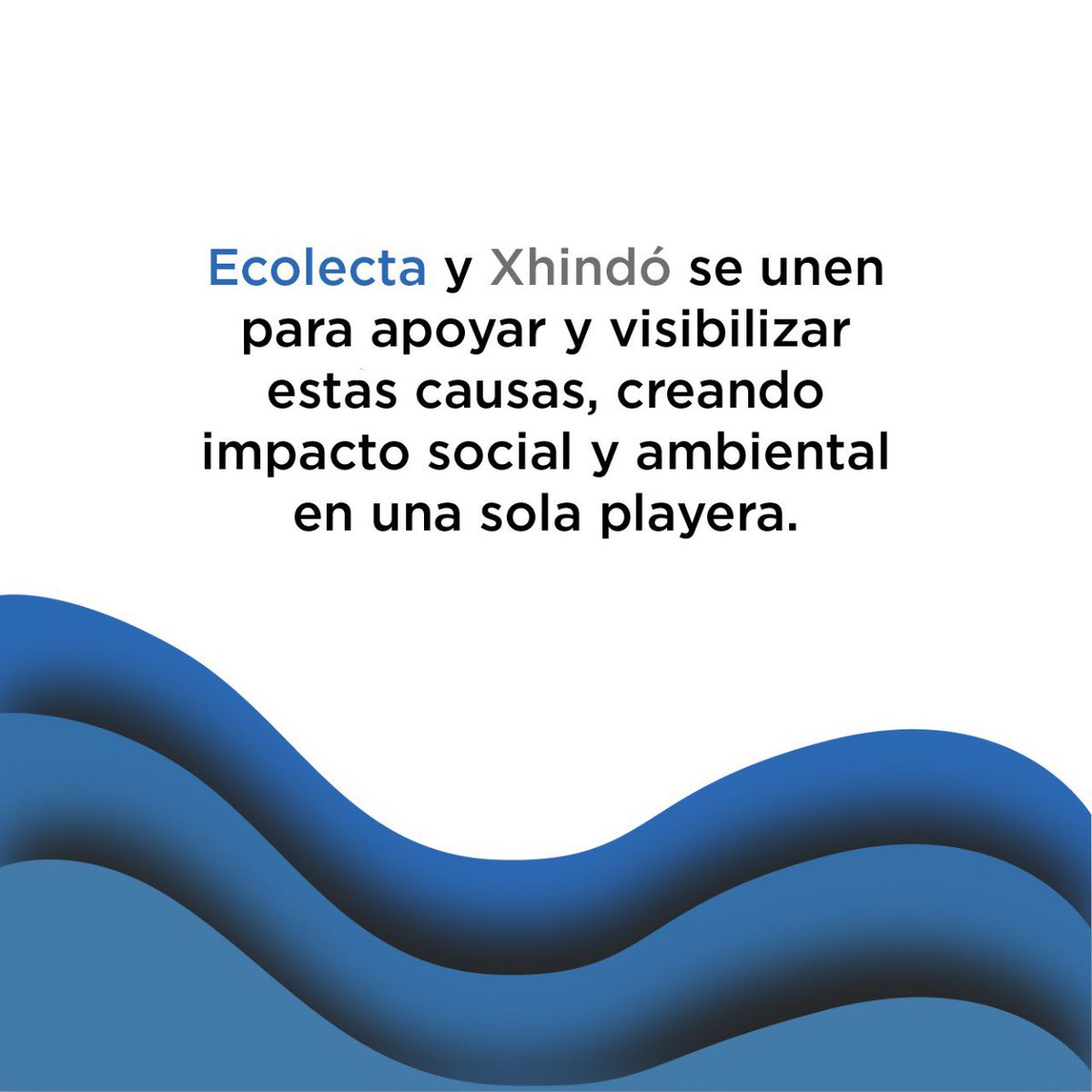 xhindomx's tweet photo. ¡Nueva colab muy pronto!

Ecolecta y Xhindó nos unimos para una playera con impacto social y ambiental

Buscamos generar conciencia de el impacto de lo que consumimos. Tu compra ayudará a ♻️ 3kg de 🗑 en las playas y generar ingresos justos en mujeres de comunidades rurales. https://t.co/WLFv9aSQKt