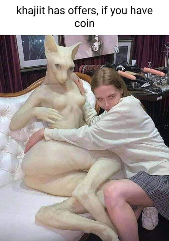 Skyrim Memes (@skyrimeme) on Twitter photo 