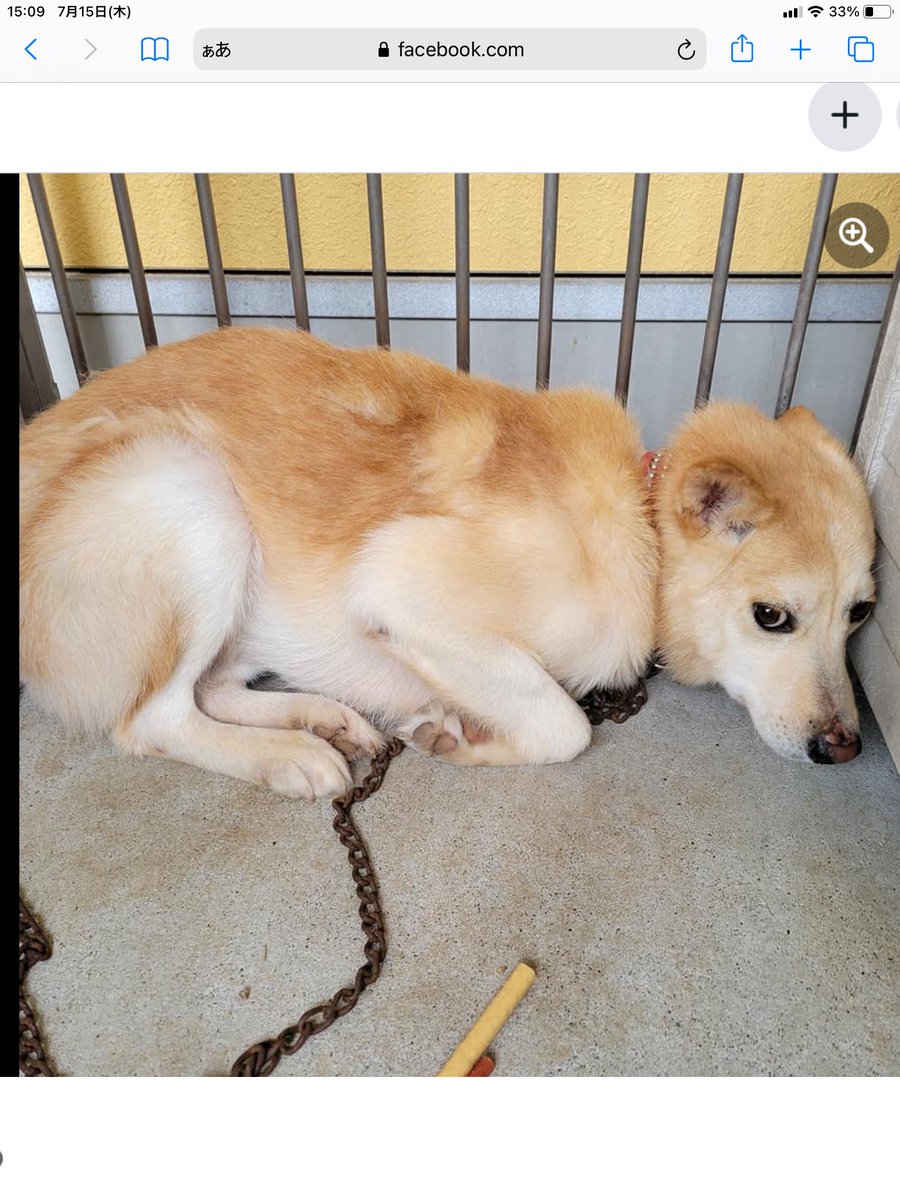 下関動物愛護管理センター