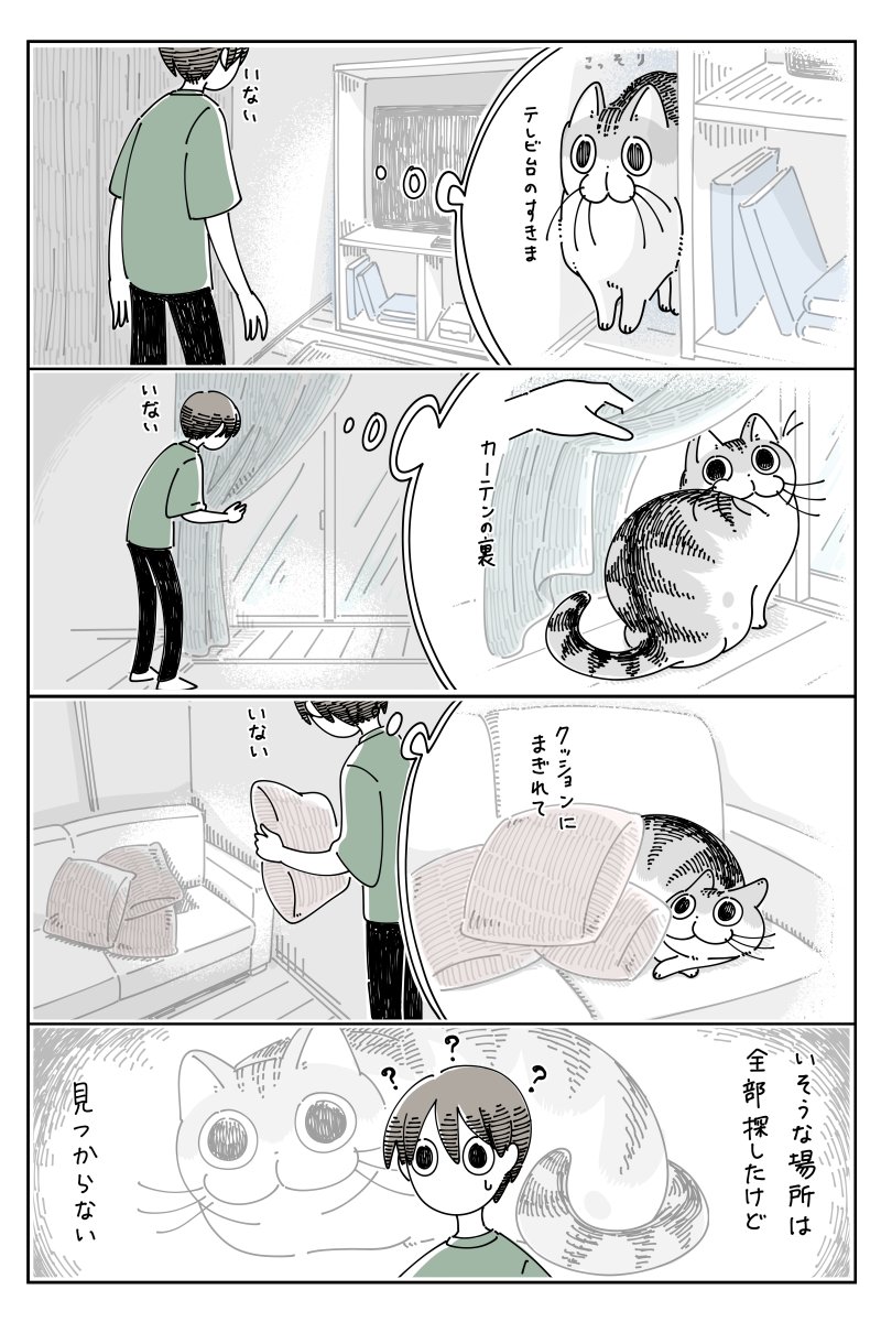家の中で姿を消してどこからともなく現れる猫さんたち 返事は絶対にしない 飼い主 で 遊んだ Togetter 家の中で姿を消してどこからともなく現れる猫さんたち 返事は絶対にしない 飼い主 で 遊んだ Togetter