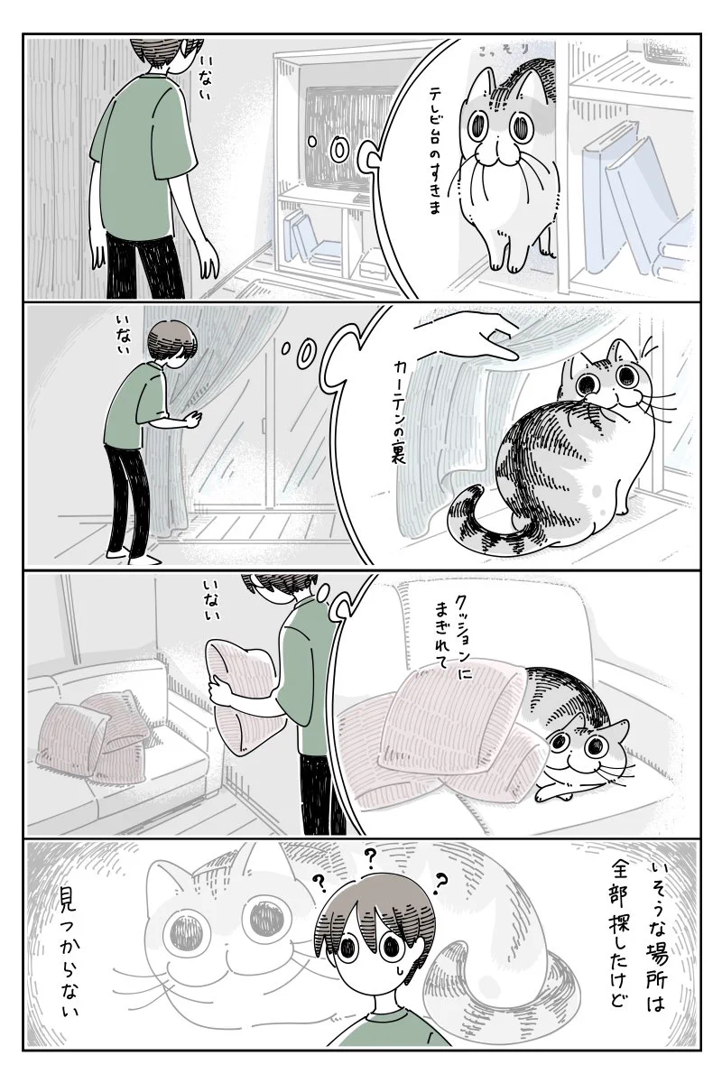 どれだけ探しても見つからなかったのに･･･！猫飼いさんはきっと共感を覚えそうな猫漫画が話題に！