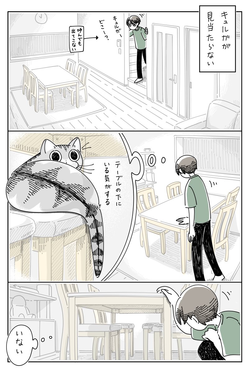どれだけ探しても見つからなかったのに 猫飼いさんはきっと共感を覚えそうな猫漫画が話題に 話題の画像プラス どれだけ探しても見つからなかったのに 猫飼いさんはきっと共感を覚えそうな猫漫画が話題に 話題の画像プラス