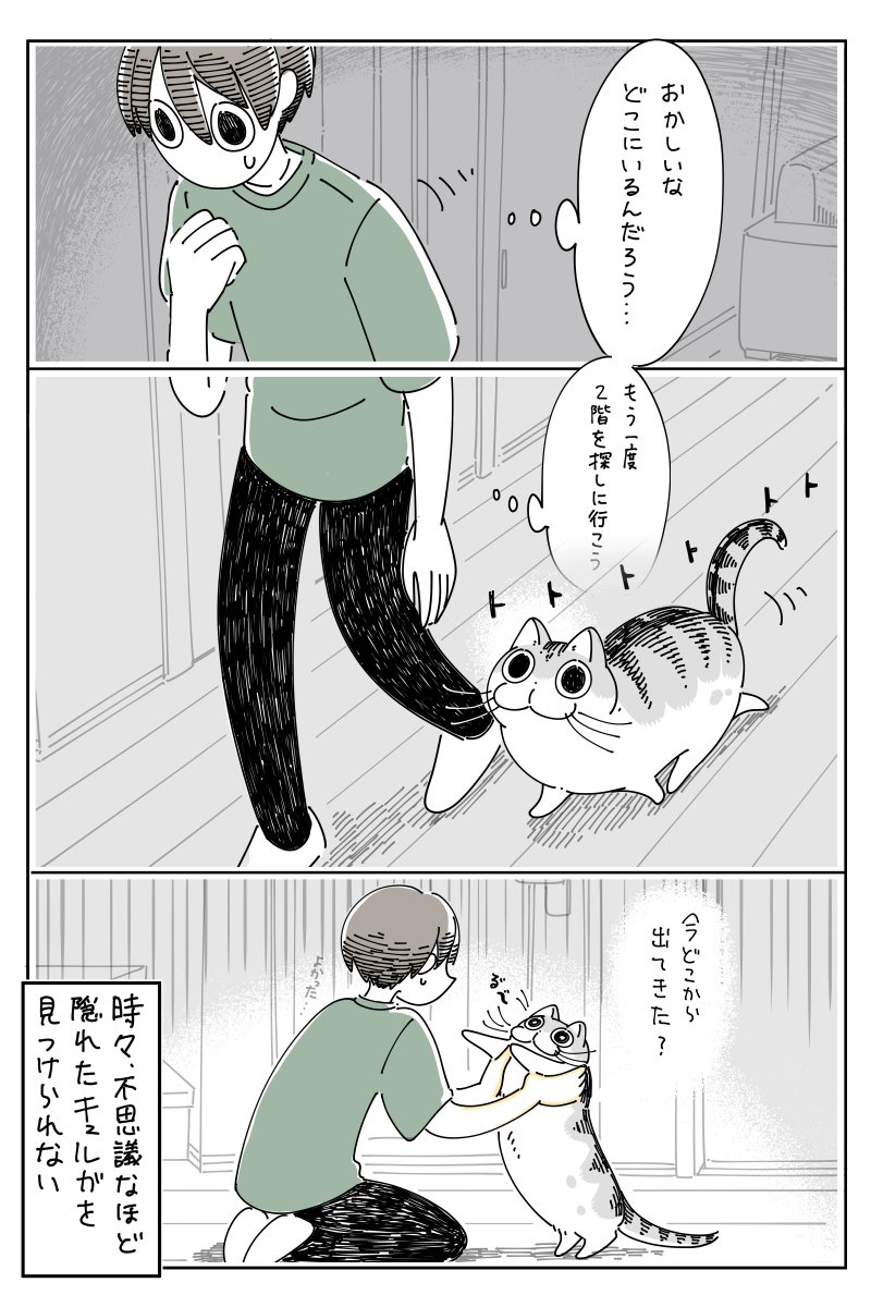 どれだけ探しても見つからなかったのに 猫飼いさんはきっと共感を覚えそうな猫漫画が話題に 話題の画像プラス どれだけ探しても見つからなかったのに 猫飼いさんはきっと共感を覚えそうな猫漫画が話題に 話題の画像プラス