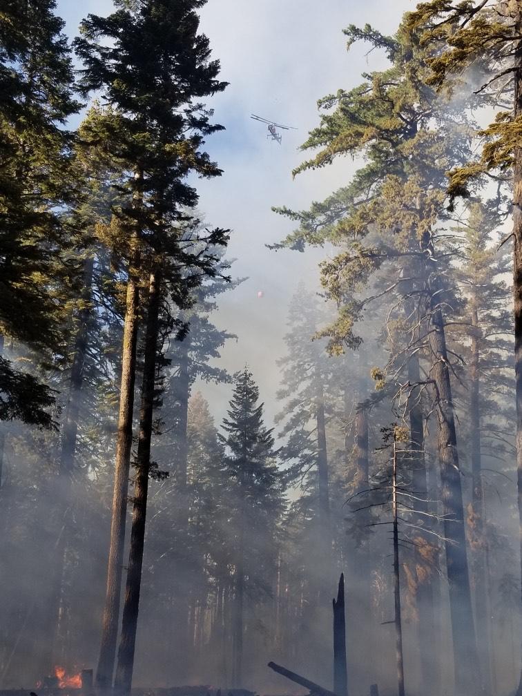 LassenNF's tweet image. #ElamFire Update: Our Firefighters will continue to work on containment and mopping up throughout the night. The fire is currently at 6.5 acres. #LassenNF #AlmanorRD