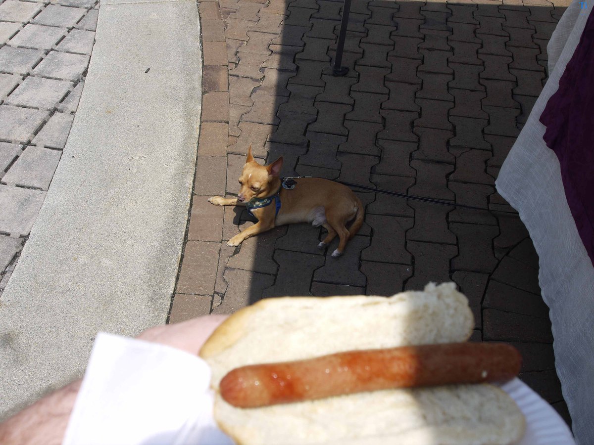 3garcons's tweet photo. Went to Make it Upstate down State Street in @AlbanyBID #doubledogs https://t.co/C8uqH2eSYP