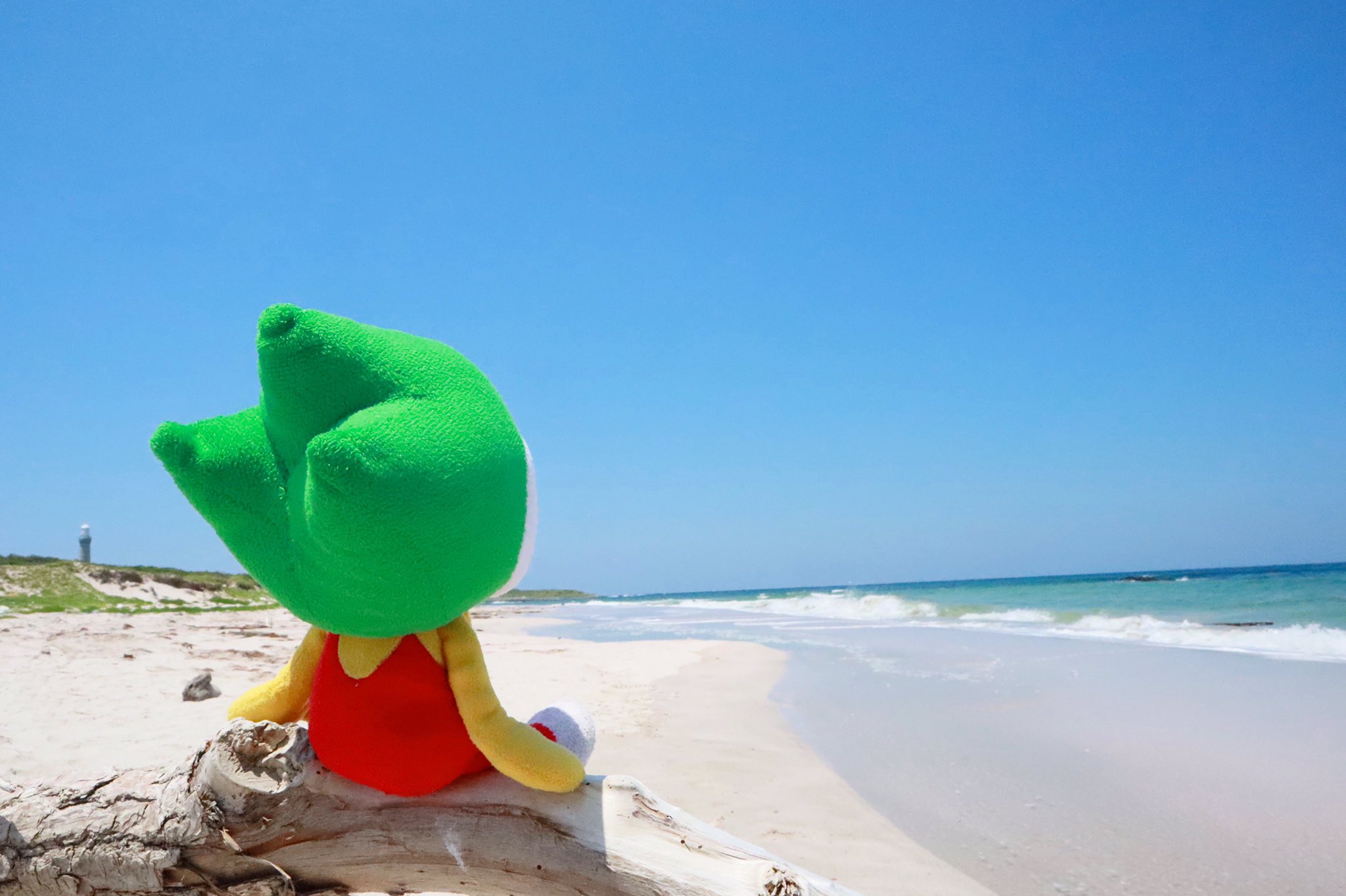 山口県pr本部長ちょるる 公式 16日の今日は1 い 6 ろ の語呂合わせにちなんで 青色の絶景を紹介 彡白い砂浜 と青い海が印象的な下関市の 角島 つのしま 7月の ちょるるオリジナル壁紙 の写真も角島だよ 島にある 角島灯台 から眺める海もきれい