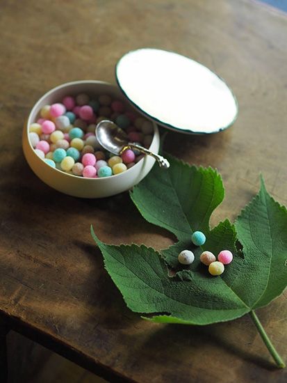 「花・谷中」で求めた清らかな笹百合と、七夕の趣向で組んだ茶箱【ふくいひろこ「京都の暮らし、お茶の日々」7月】buff.ly/3B8MP6I　#茶箱 #茶箱あそび #京都 #京都の暮らし #花のある暮らし #笹百合 #花谷中