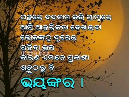 SindhurajMohan6's tweet photo. #Life. https://t.co/4gyuKAi0bg