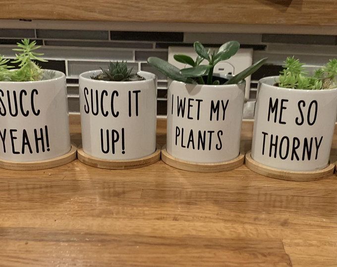 supersvg2's tweet photo. Funny Plant Pun Decals for Planter Pots with Planter
https://t.co/cWe4QFmrk4

#supersvg_com
#digitaldownloadsforsale #digitaldownloads
#digitaldownload #cricutsvg #svgshop #svgdesign
#cricutsvgfiles #svgbundles https://t.co/uFcT8Pkujb