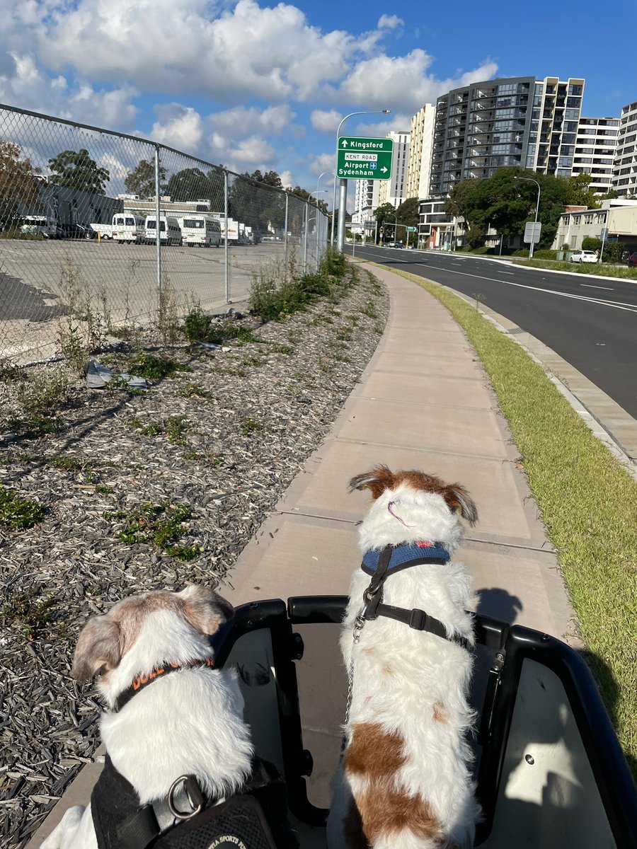 <a href="/robertburns73/">Robert Burns</a> Yes, for dogs, shopping, giving friends a lift, commuting, whatever. Sold the car since getting it.