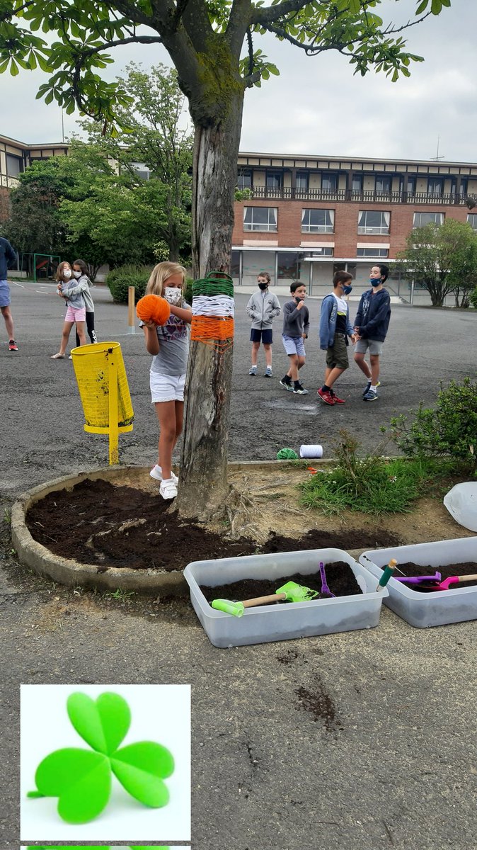 Fun and english yarn bombing at the school!!
