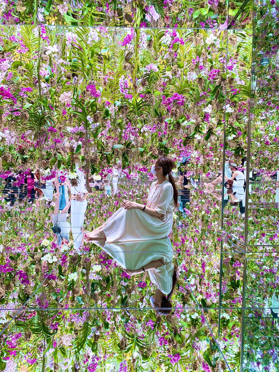 相内晴嘉 (@haruka_ainai) / Posts / X