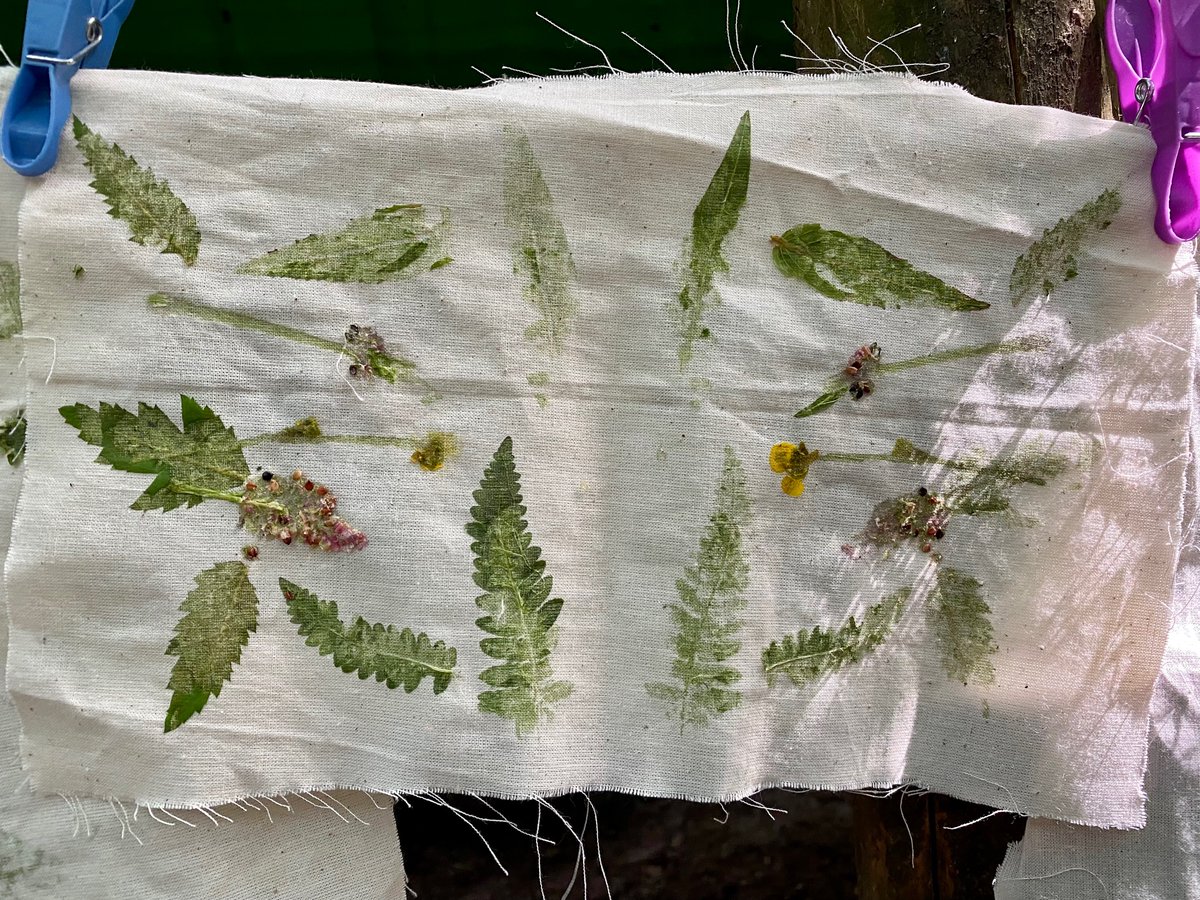 GorseyFS's tweet photo. Hapa Zome leaf printing by @GorseyY3 πΈπΏ #gorseyfs https://t.co/egXUactuwu