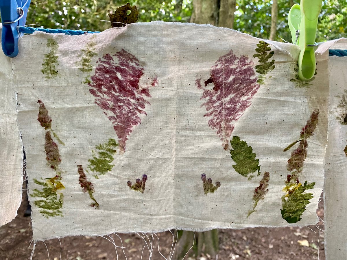 GorseyFS's tweet photo. Hapa Zome leaf printing by @GorseyY3 πΈπΏ #gorseyfs https://t.co/egXUactuwu