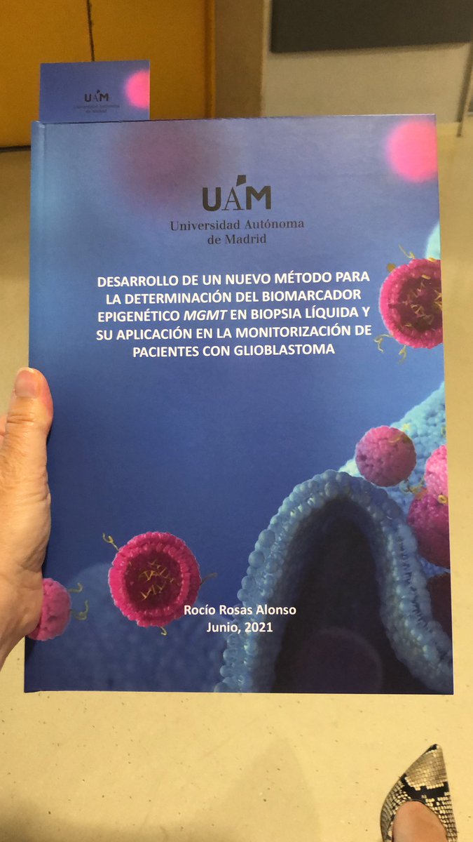 Inmaculada Ibáñez tweet media